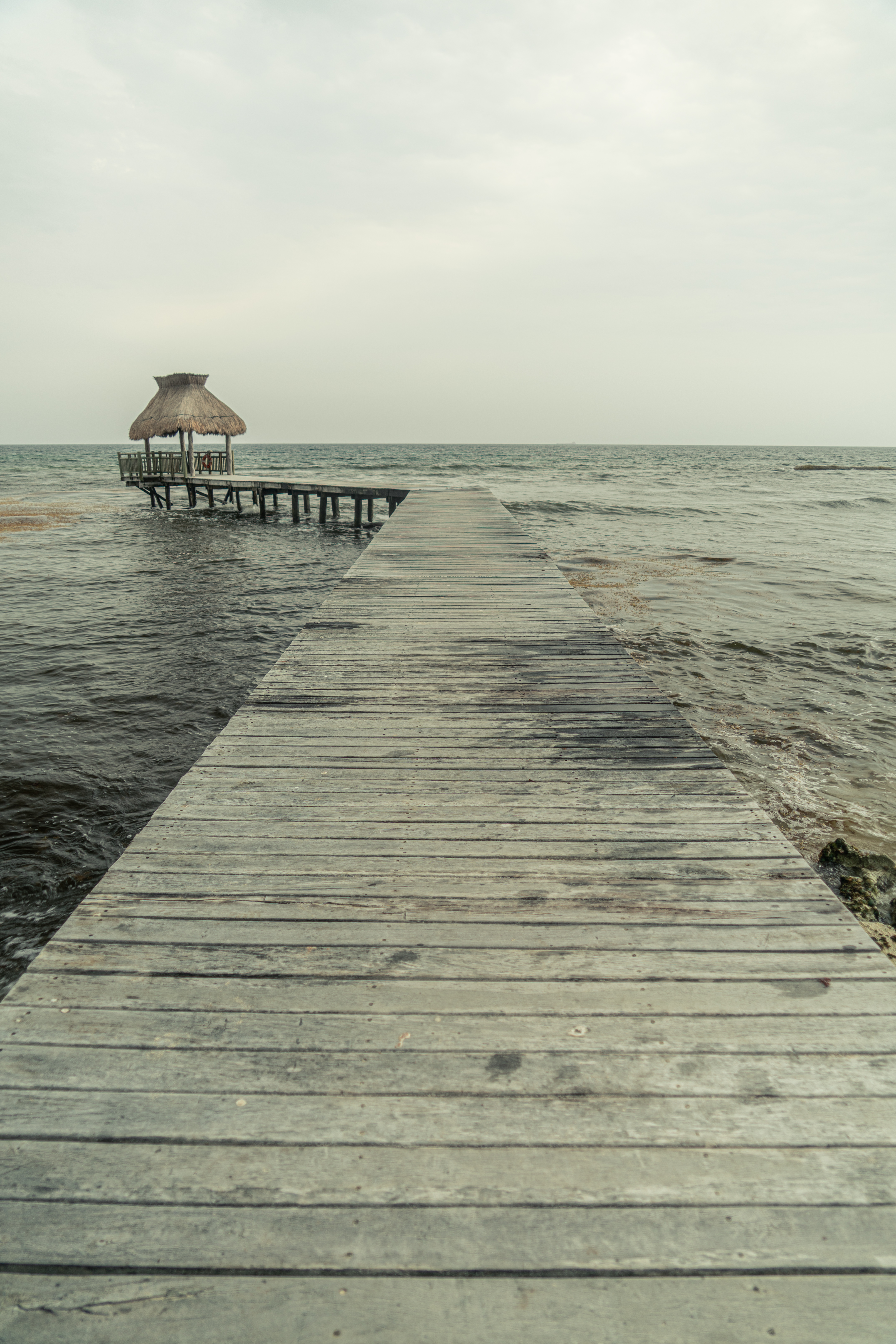 MayanAdventure 2019 1019